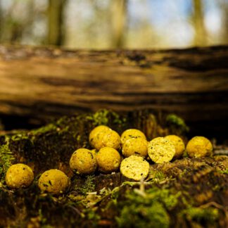 Supa Scopex Mulberry boilies 20mm 5KG