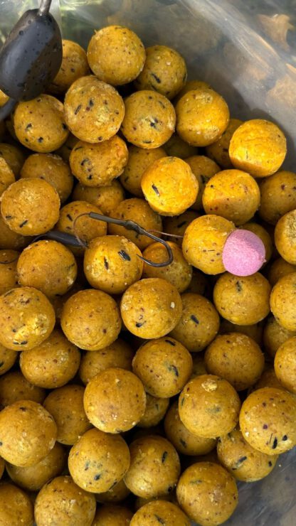 Supa Hard Hookbaits Scopex mulberry 24mm