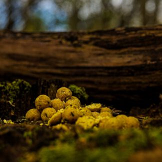 Supa Scopex Mulberry boilies 15mm 5KG