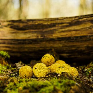 Supa Scopex Mulberry boilies 24 mm 5KG