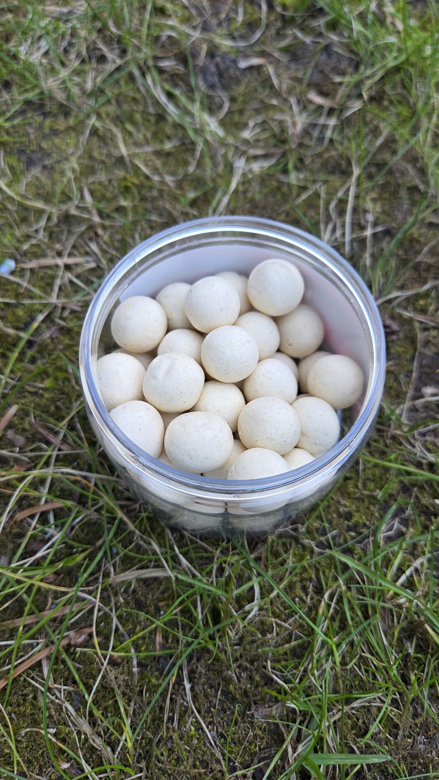 Supa Red Liver & Krill Pop Ups White 14mm - Afbeelding 2